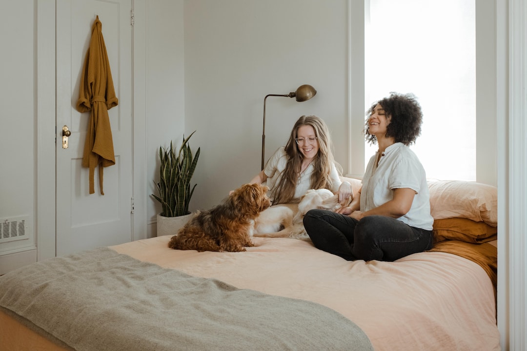 Pros and Cons of Allowing Pets in Your Boston, MA Rental Property